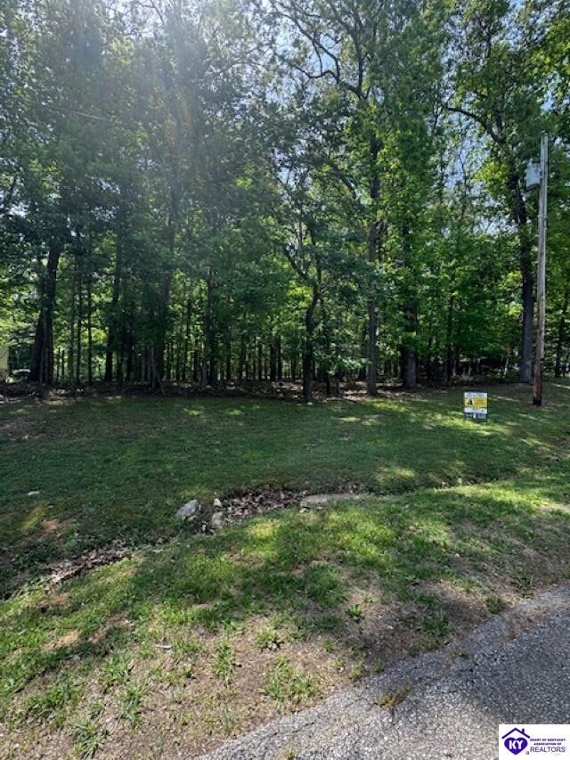 Property Photo:  Lot 49 Bluebird Road  KY 40108 
