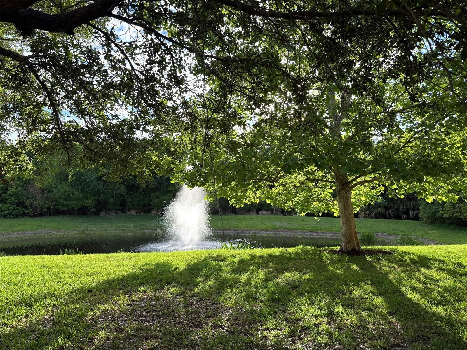 Property Photo:  25 Riverview Bend N 111  FL 32137 