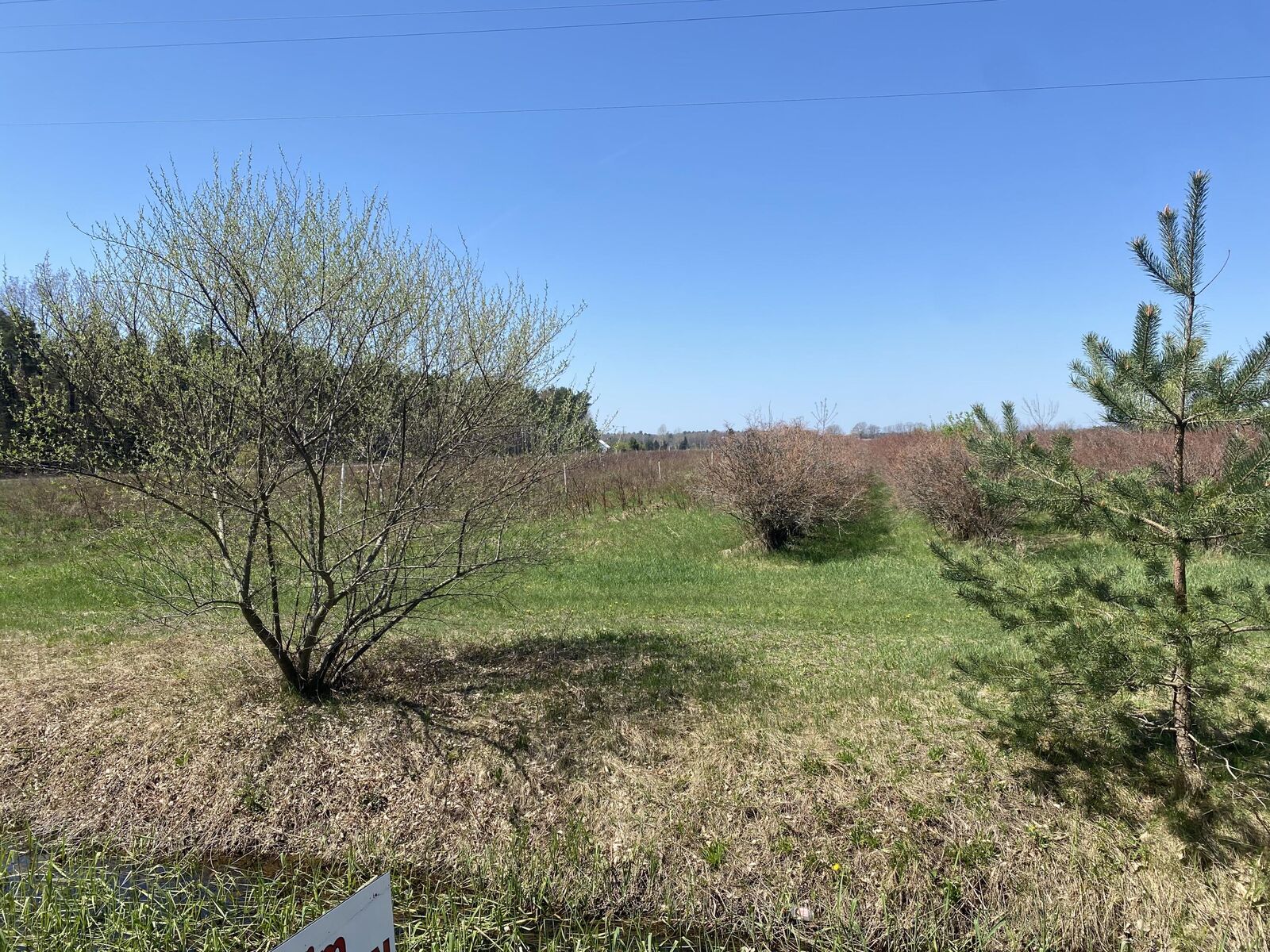 Property Photo:  Vl S Wolf Lake Road  MI 49415 
