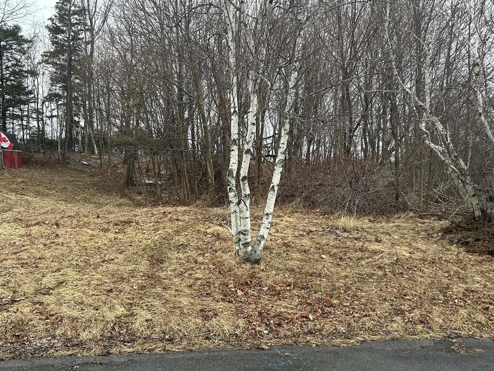 Property Photo:  Lot 1 511 Birch Street  NS B2H 1Y2 