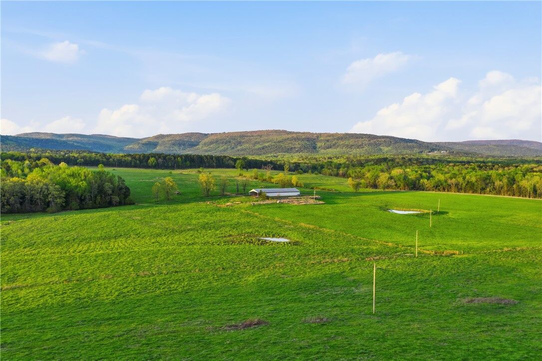 Property Photo:  1709 County Road 4451  AR 72830 