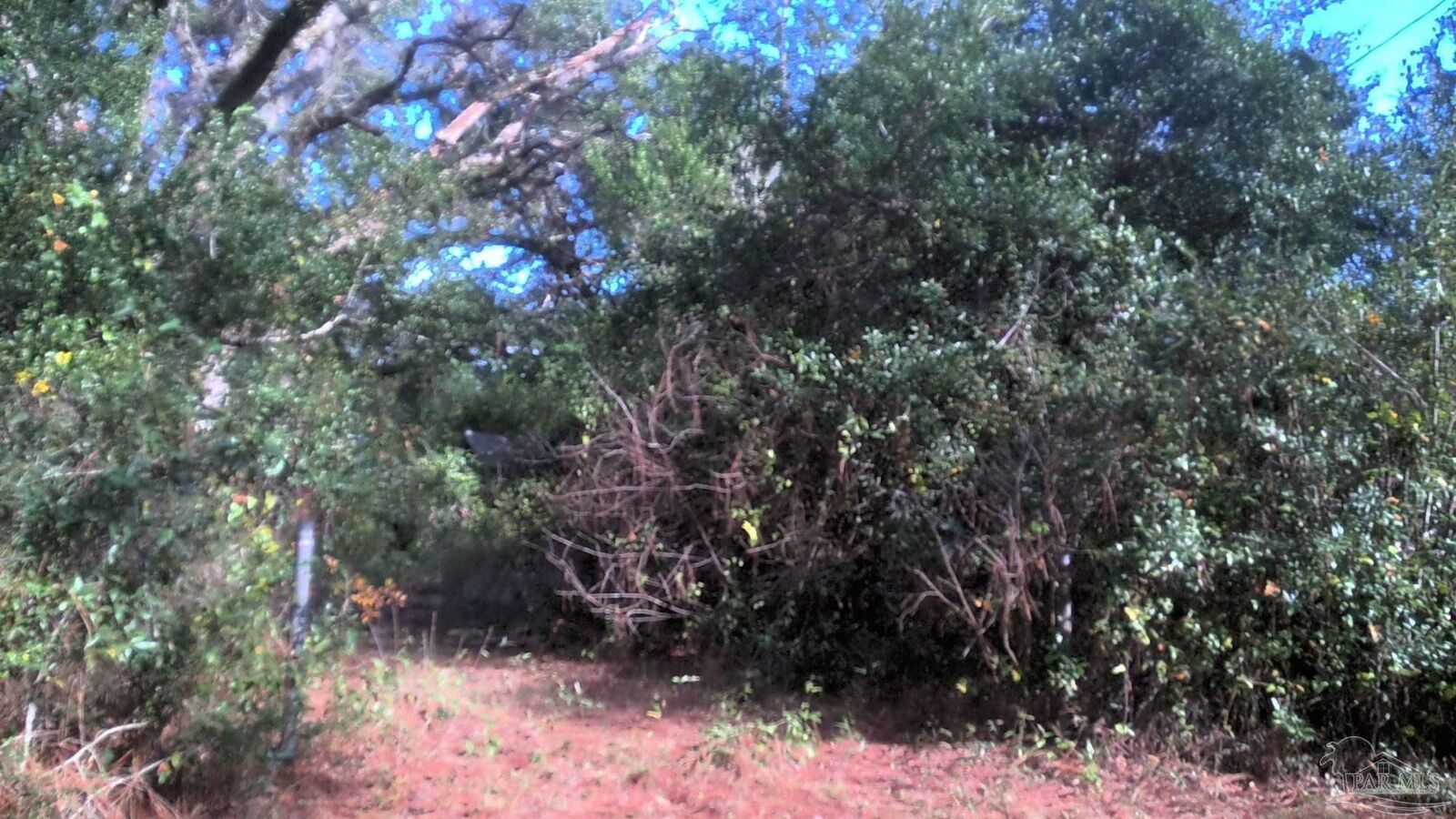 Property Photo:  8731 Chisholm Rd  FL 32514 