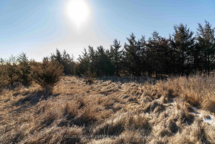 Property Photo: 0 County Road 7 N/A ON K0K 2T0
