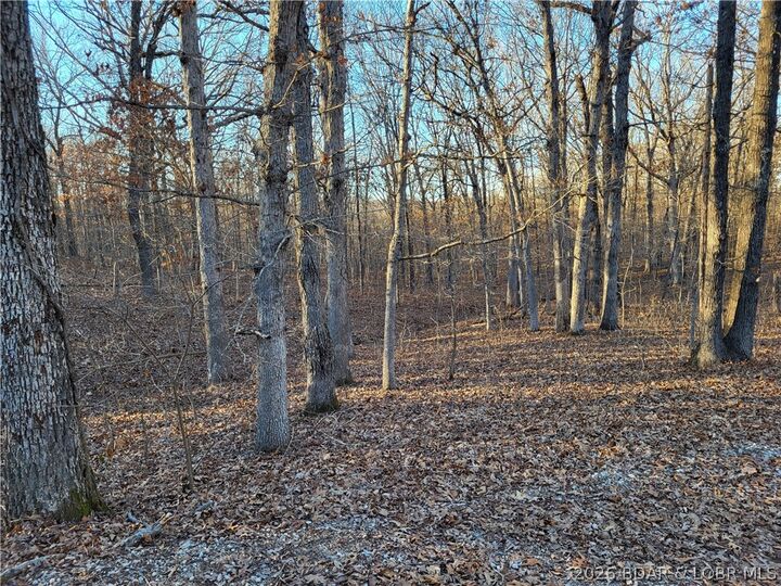 Property Photo:  Wenzel Place 216  MO 65326 