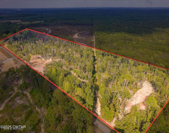 Property Photo:  225 State Route  TN 38340 