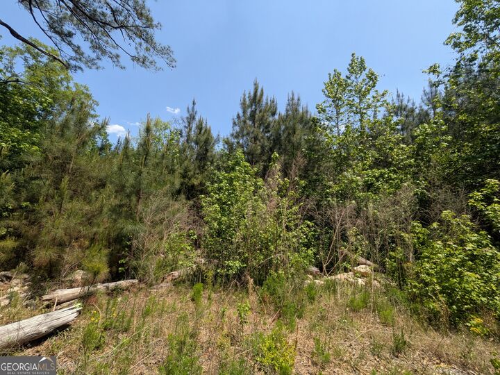Property Photo:  0 Dorton Creek Road  GA 31816 