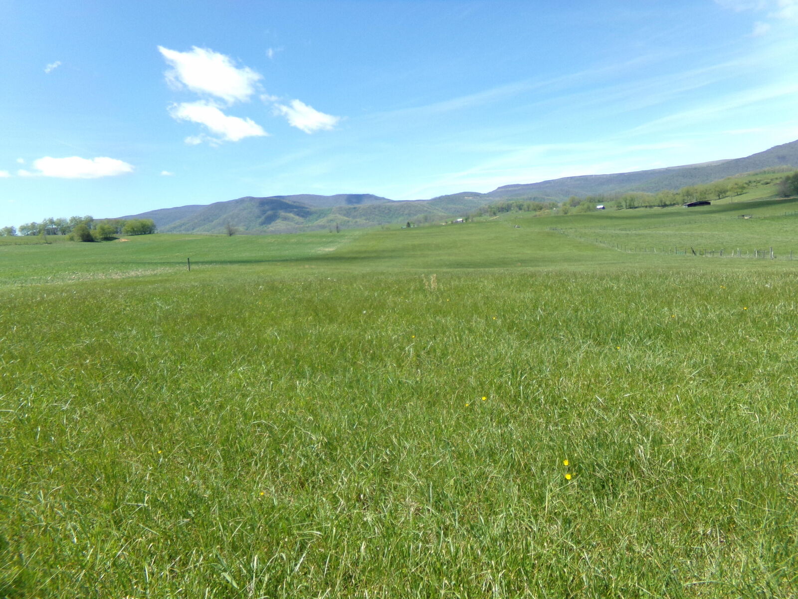 Property Photo:  Friars Hill Rd  WV 24991 