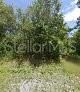 Property Photo:  245 N Romero Street  FL 33440 