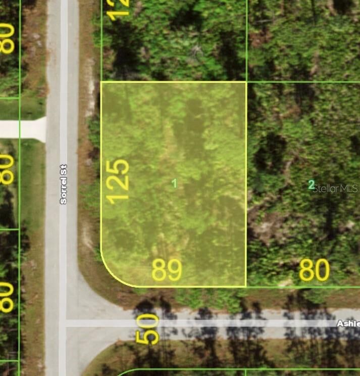 Property Photo:  12070 Ashley Avenue  FL 33981 