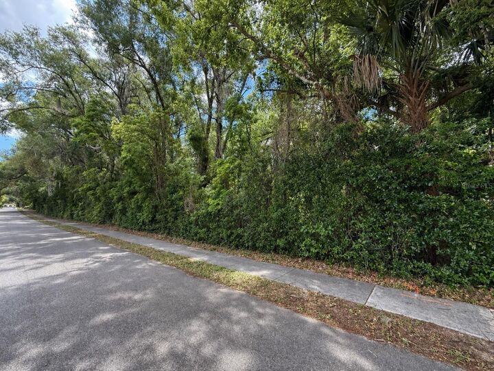 Property Photo:  Tbd King Avenue  FL 32798 