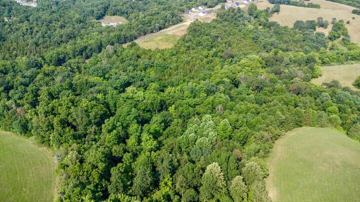 Property Photo:  605 Claiborne Drive  KY 41035 