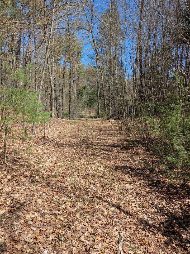 Property Photo:  South Scofield Mountain Road  NH 03470 