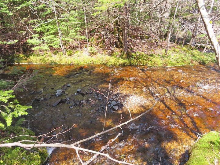 Property Photo:  128.5 Acres West Side Road  NS B0H 1J0 