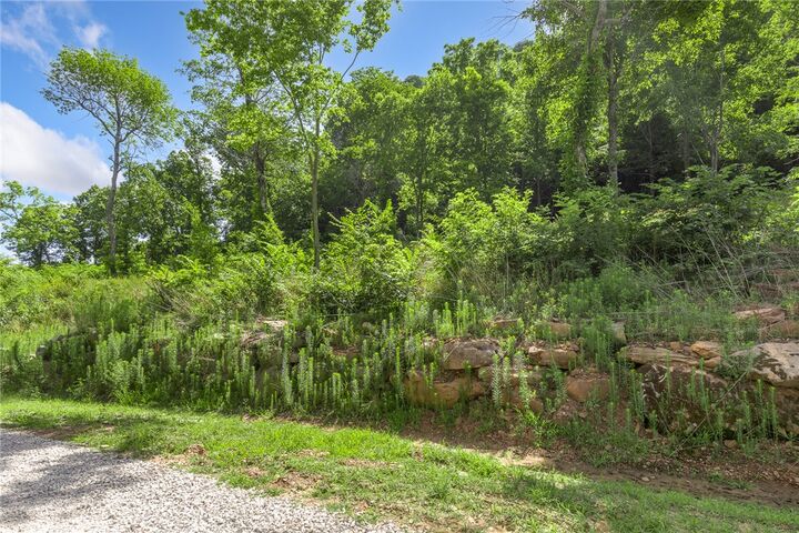 Property Photo:  110 Significance Summit  AR 72601 