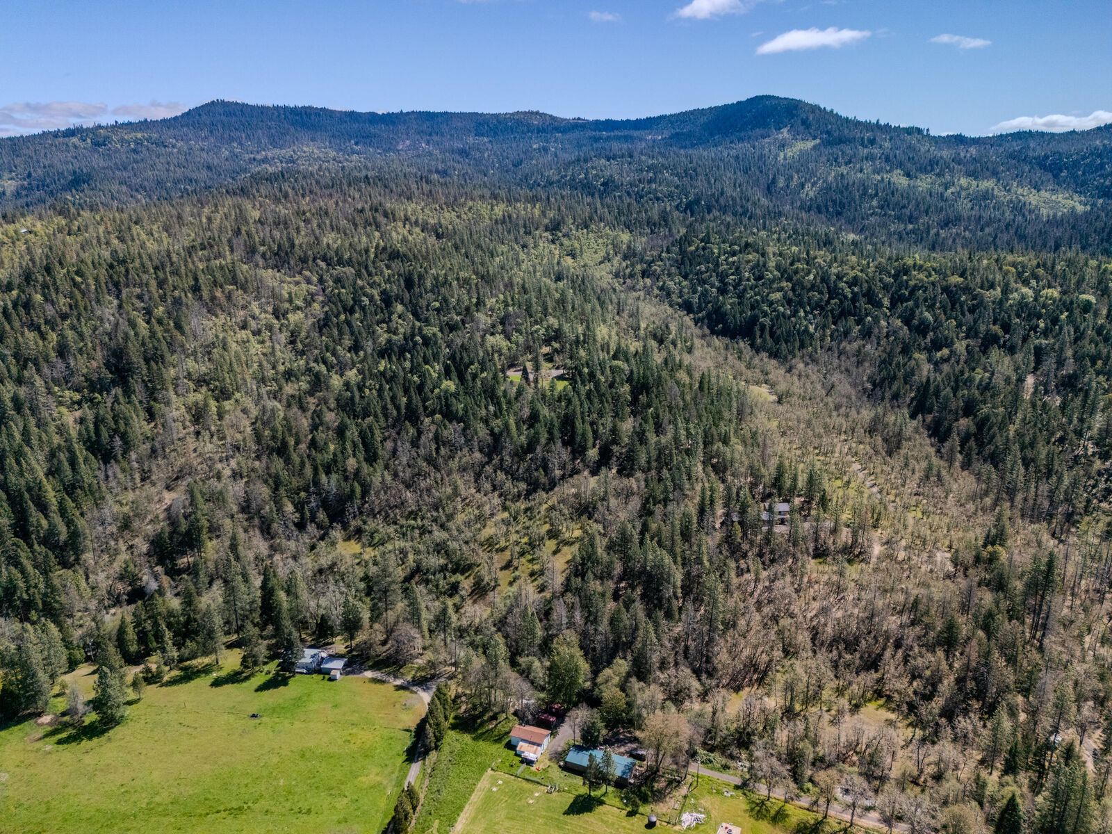 Property Photo:  E Evans Cr  OR 97502 