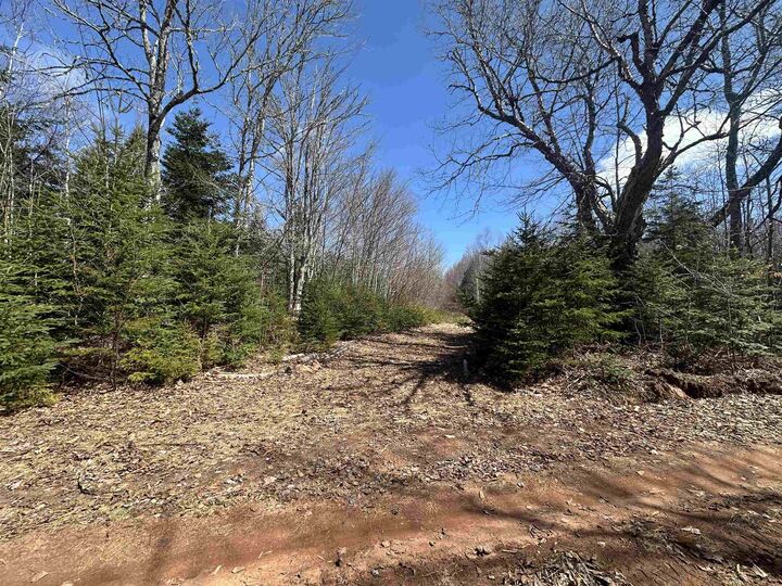 Property Photo:  Settlement Road  PE C0A 1A0 