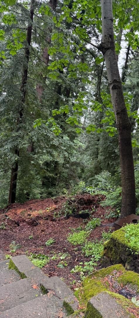 Property Photo:  18151 Mountain View Court  CA 95044 