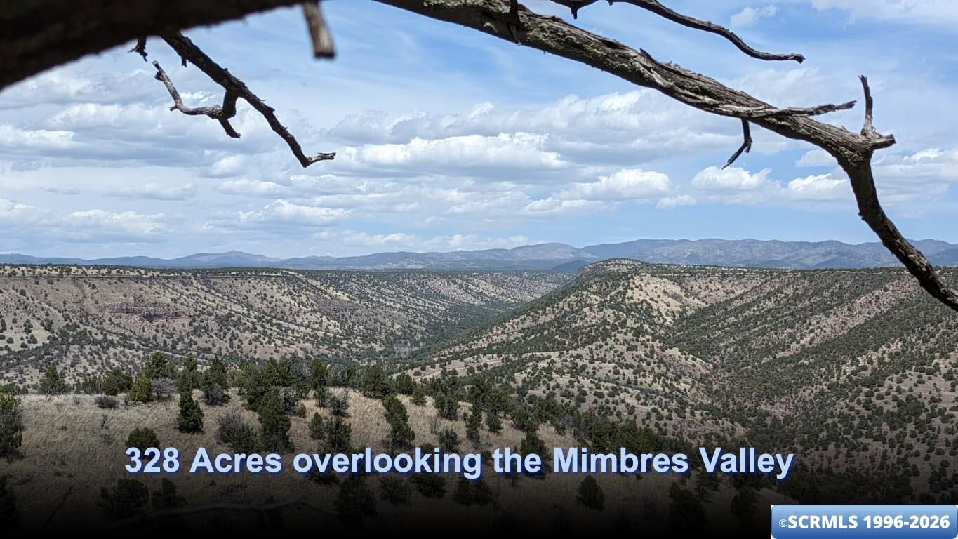 Property Photo:  3515X Highway 35  NM 88049 