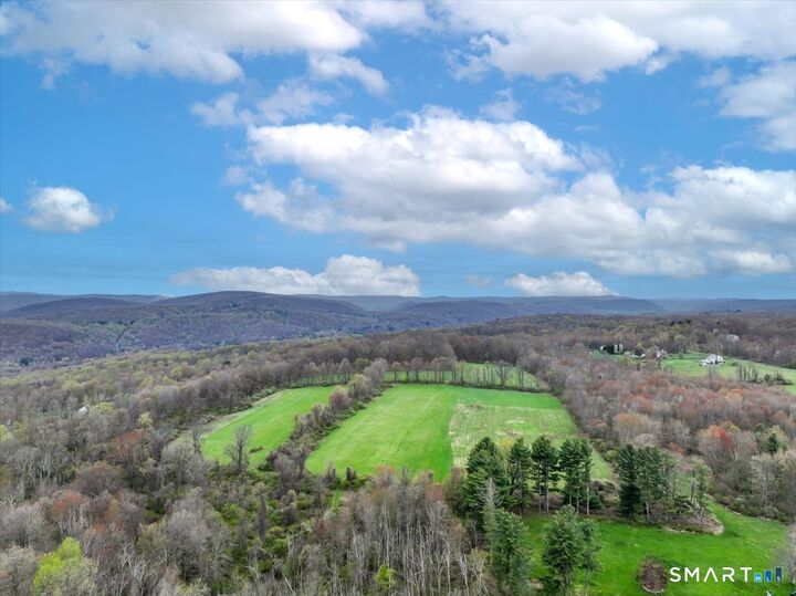 Property Photo:  Chestnut Land Road  CT 06776 