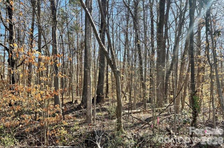 Property Photo:  02 Lurecliff Place  SC 29708 
