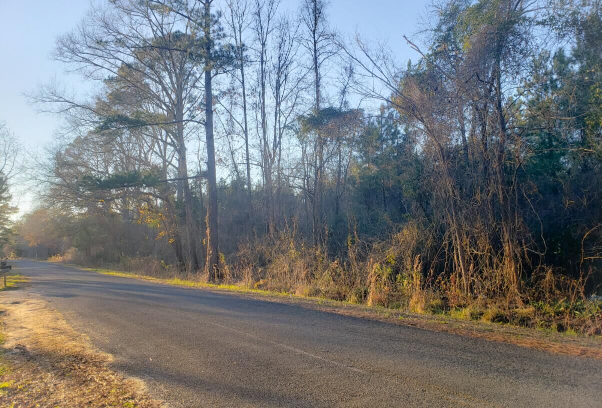 Property Photo:  0000 Murraysville Road  SC 29461 