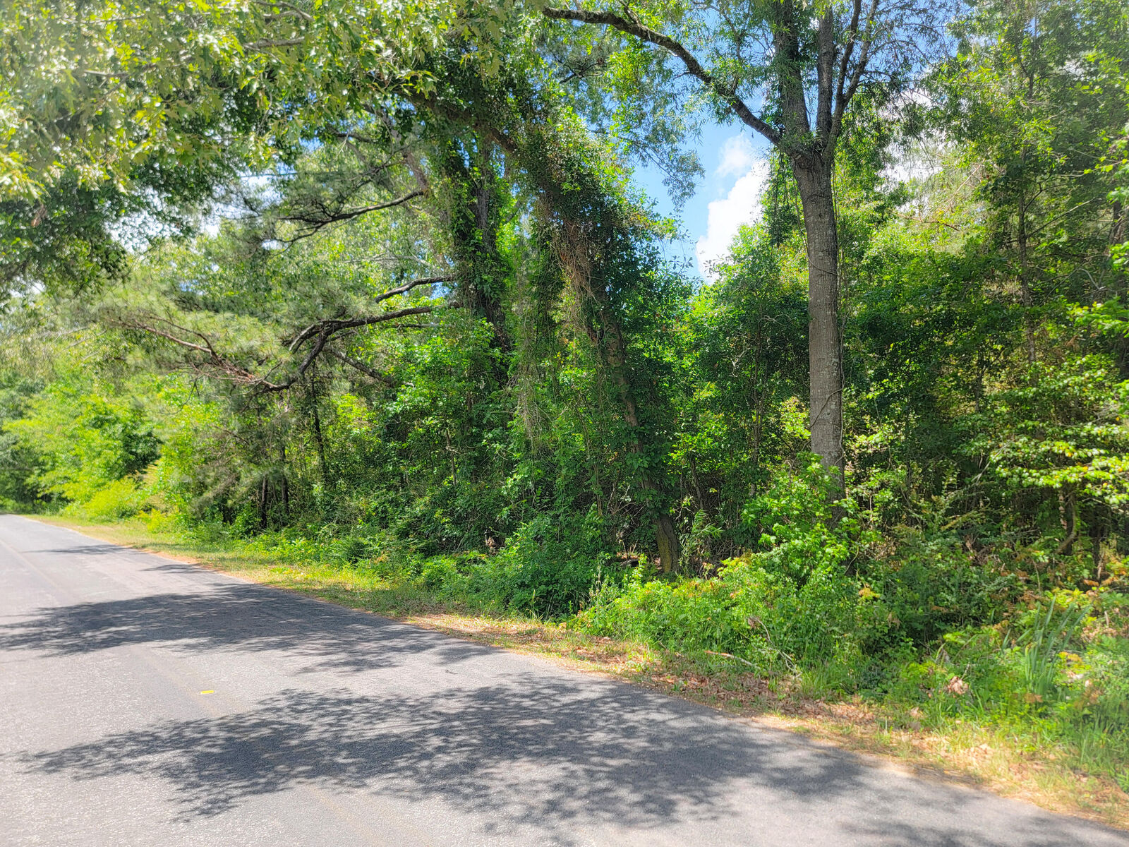 Property Photo:  0000 Murraysville Road  SC 29461 