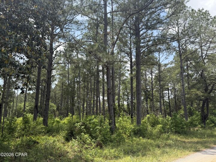 Property Photo:  000 Parrish Still Road  FL 32462 
