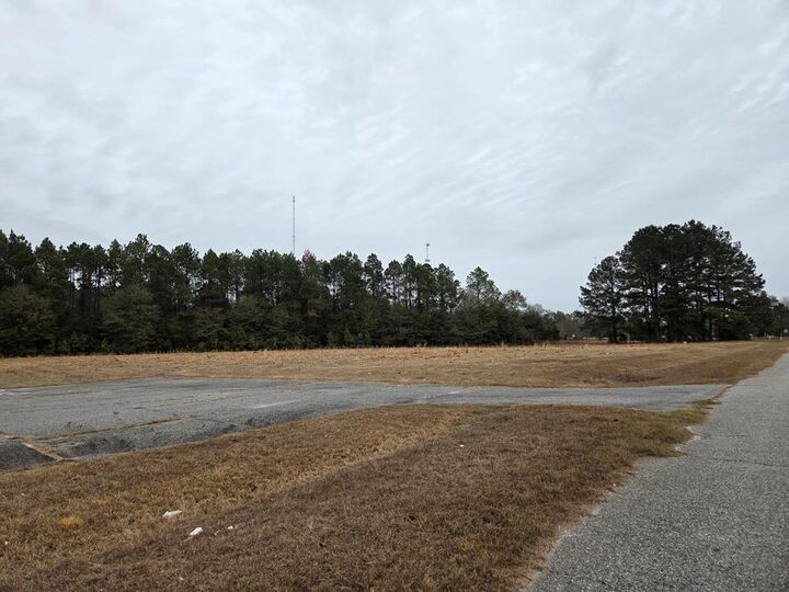 Property Photo:  118 Joe Wright Drive/New Harvest Road Lot D  GA 31015 