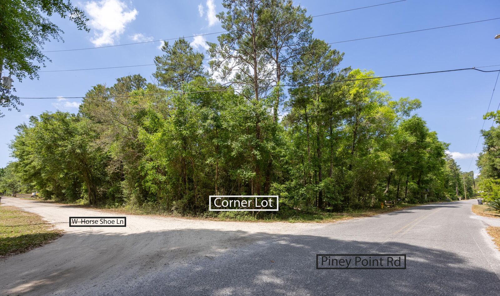 Property Photo:  Lot X Piney Point Road  FL 32439 
