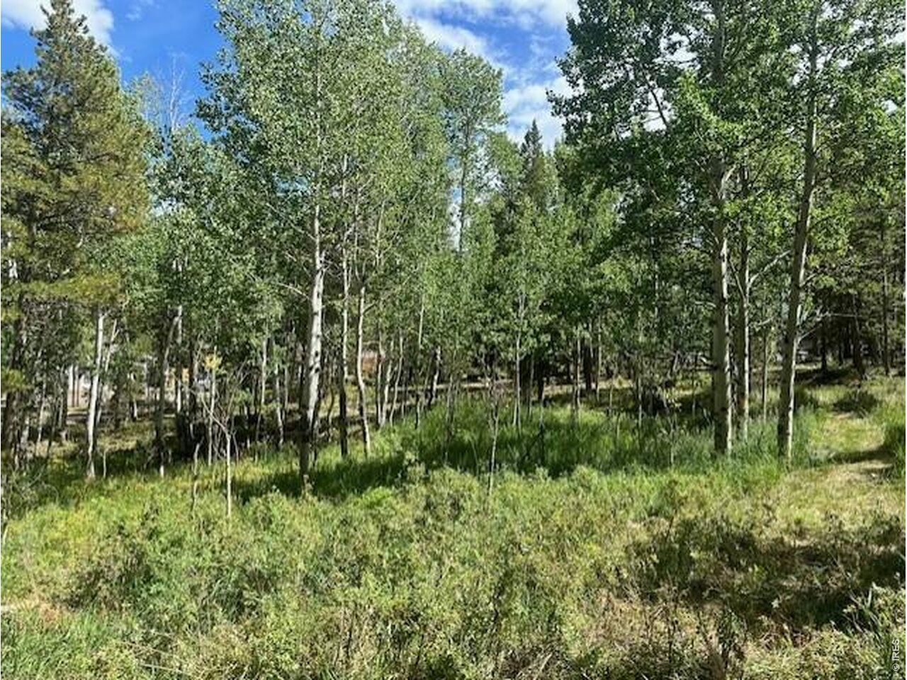 Property Photo:  293 Aspen Cir  CO 80422 