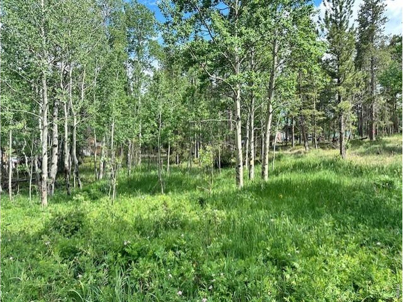 Property Photo:  293 Aspen Cir  CO 80422 