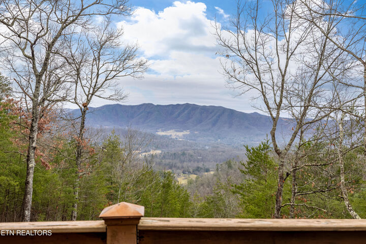 Property Photo:  Twin Oak Mountain Lane  TN 37882 