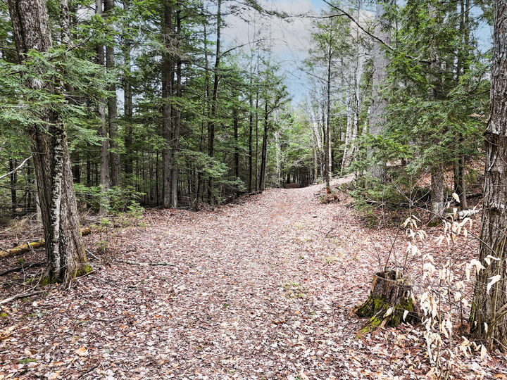 Property Photo: 55 Salmon Road ME 04950