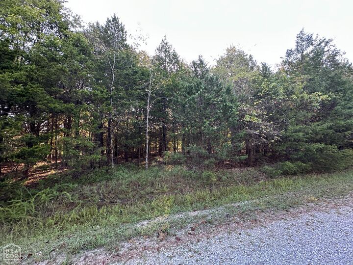 Property Photo:  1 Hand Cove Road  AR 72531 