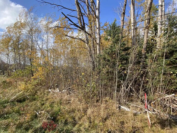 Property Photo:  Lot 3A Highway 215  NS B0N 2C0 