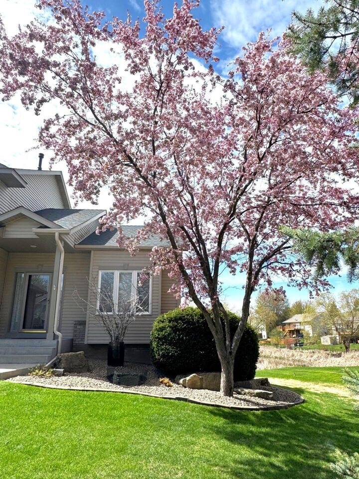 Property Photo:  18759 Everest Path  MN 55024 