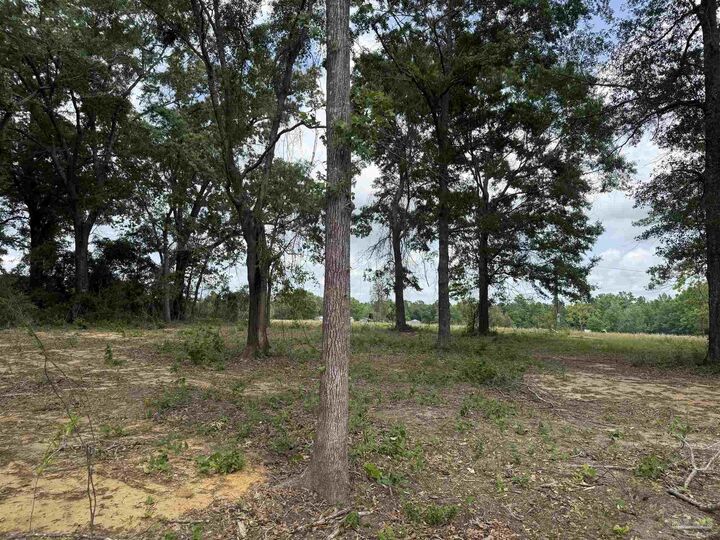 Property Photo:  3308 Deloach Ln  FL 32570 