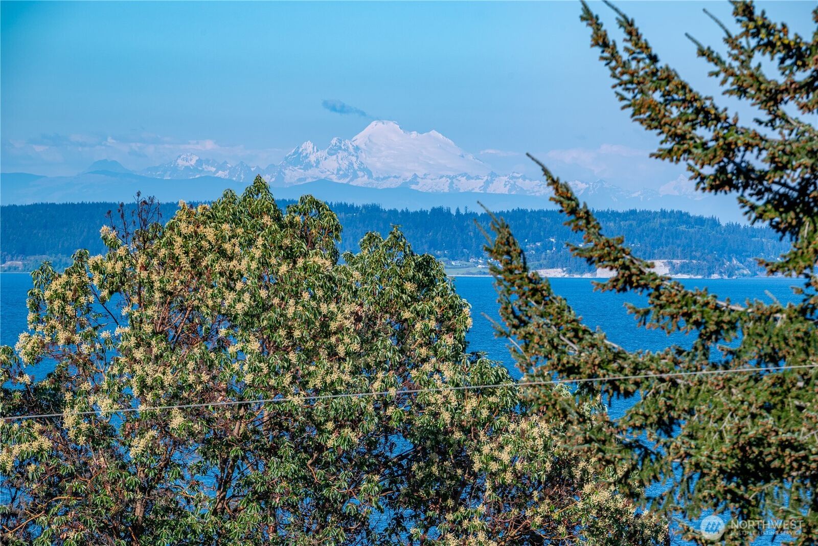 Property Photo:  315  Marine Drive  WA 98239 