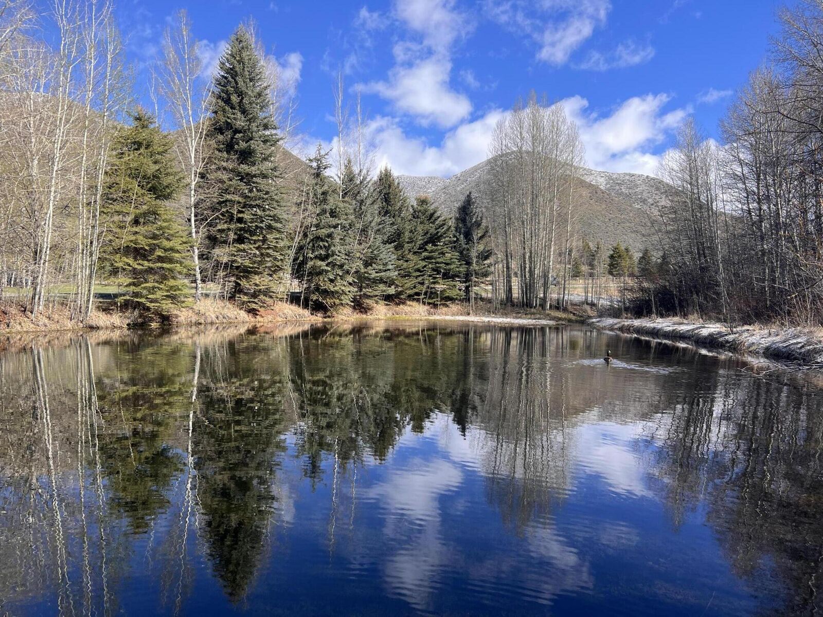 Property Photo:  202 Meadowbrook Rd  ID 83333 