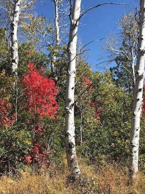 Property Photo:  369 Whispering Pines Rd  UT 84767 
