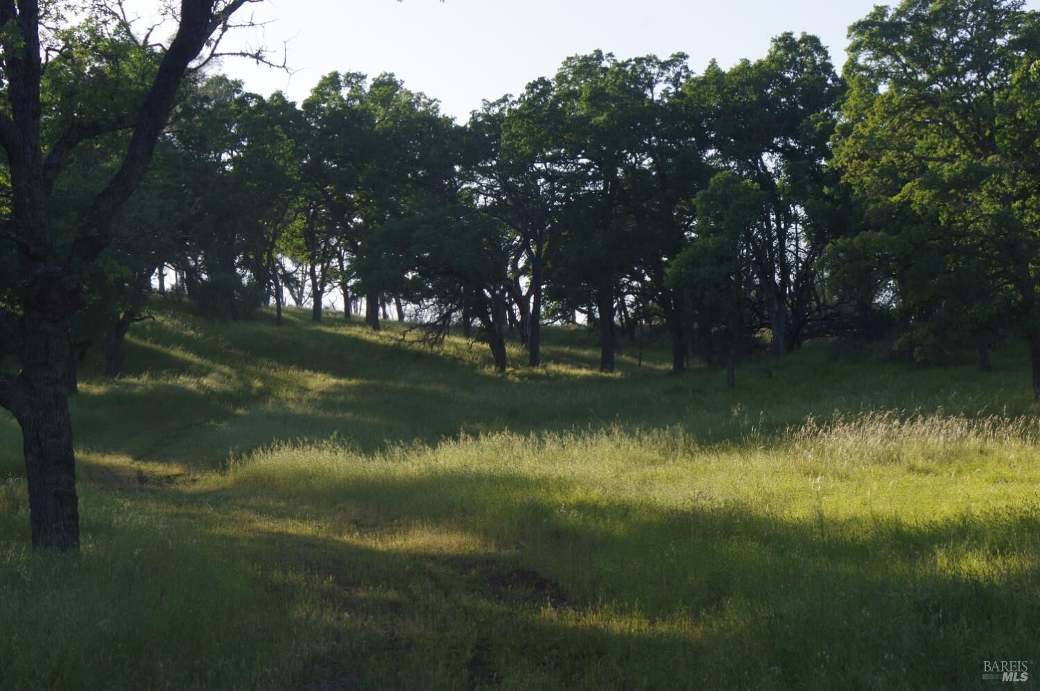 Property Photo:  0 Knoxville Road  CA 94558 