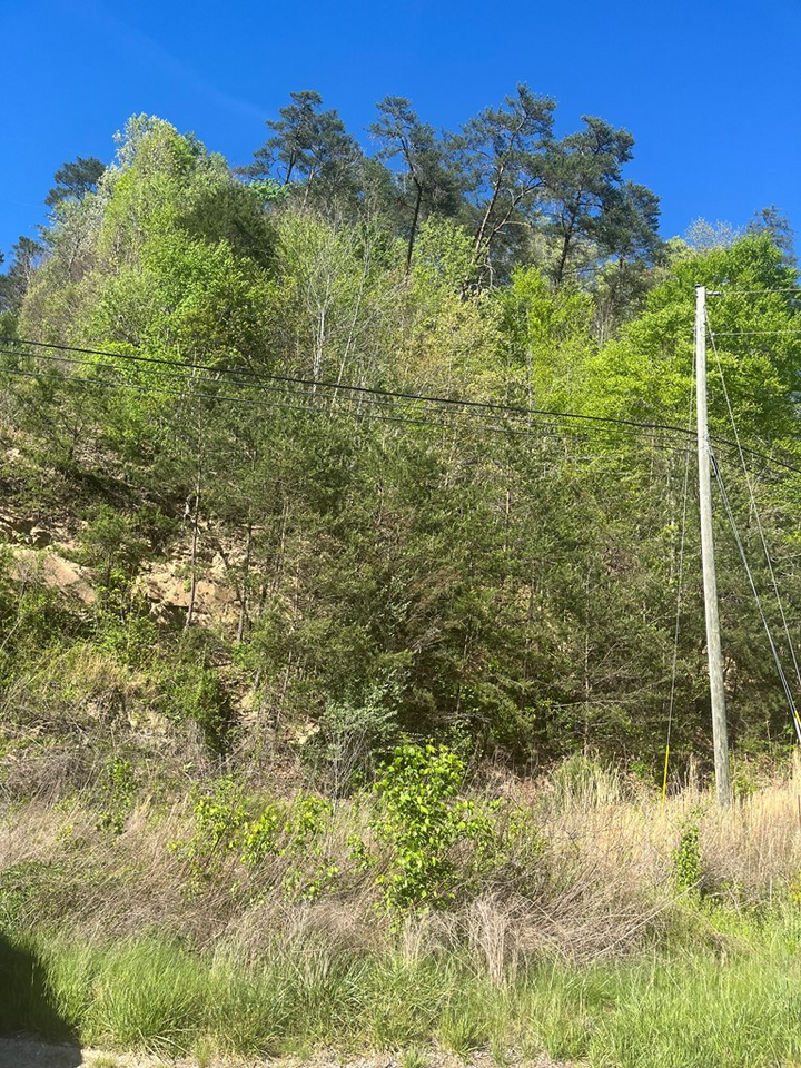 Property Photo:  Rt. 302 Ky Route 302  KY 41268 