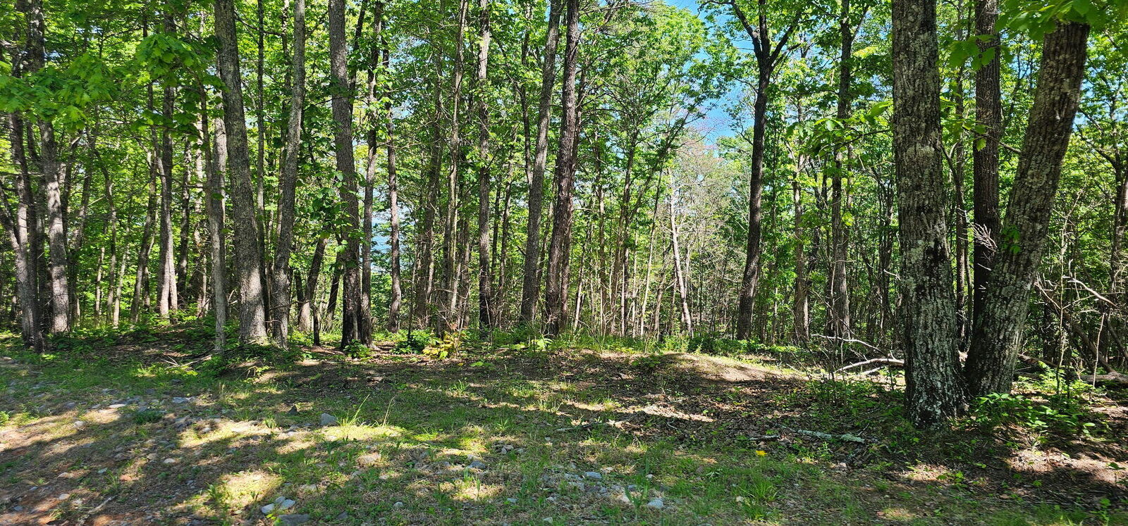 Property Photo: 0 Bluffview Dr TN 37327