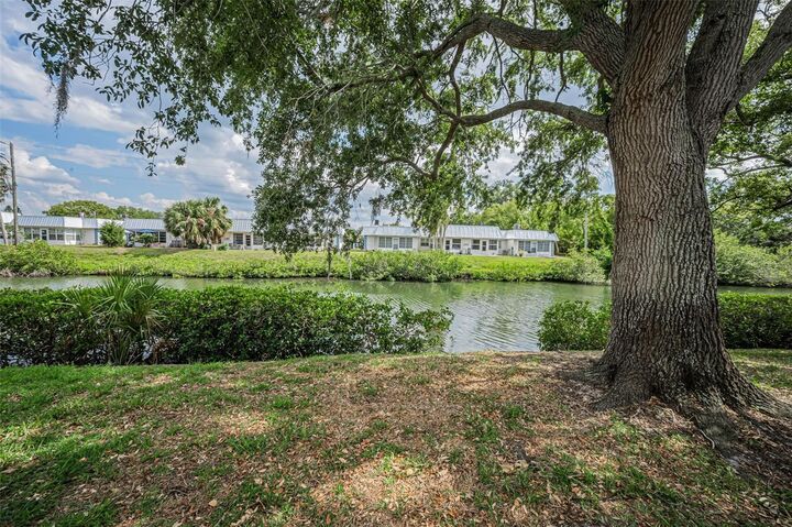 Property Photo:  4200 Hampton Drive 4200  FL 34652 