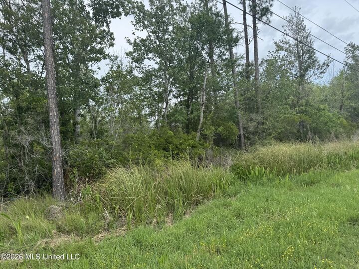 Property Photo:  Nsn Lot 24 Piute Drive  MS 39556 