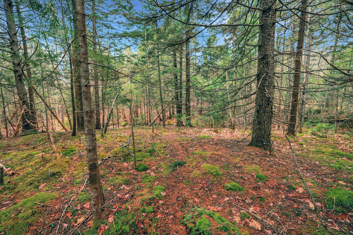Property Photo:  0 Swamp Road  ME 04607 