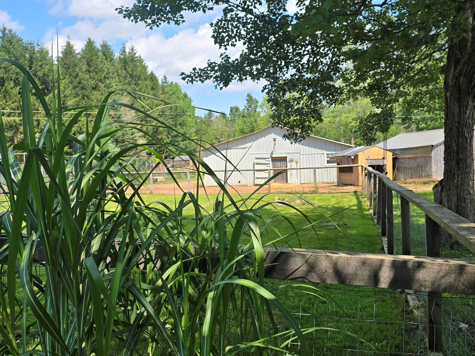Property Photo: 1106 Tetzlaff Road NS B4N 4K1