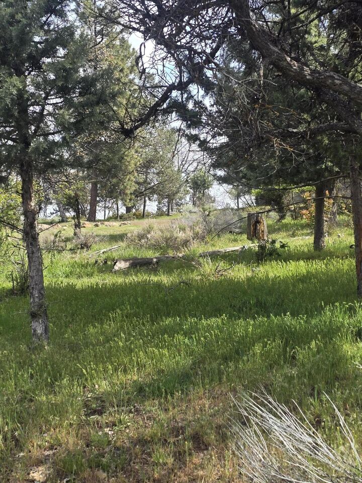 Property Photo:  Kestrel Road 12  OR 97601 