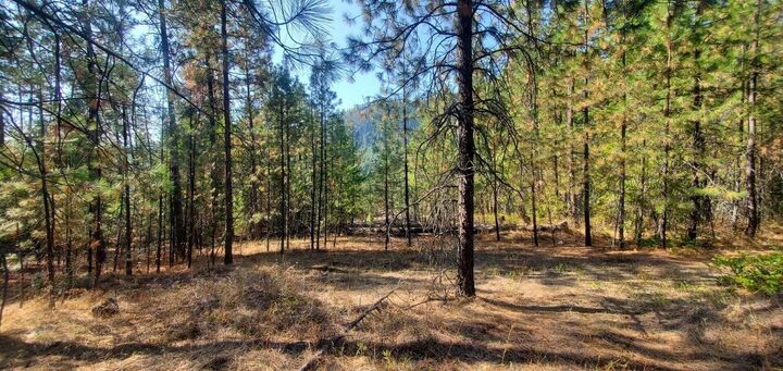Property Photo:  3733-Xx Sand Creek Rd  WA 99141 