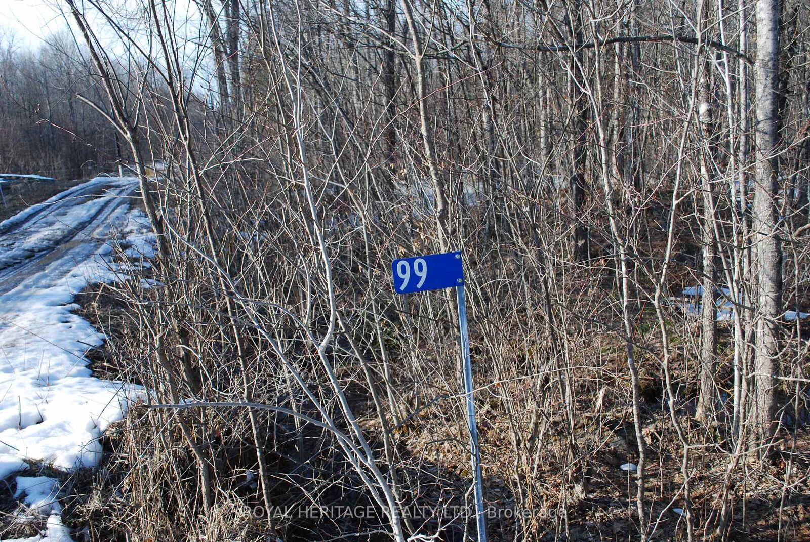 Property Photo:  99 Future Lane  ON K0K 2M0 